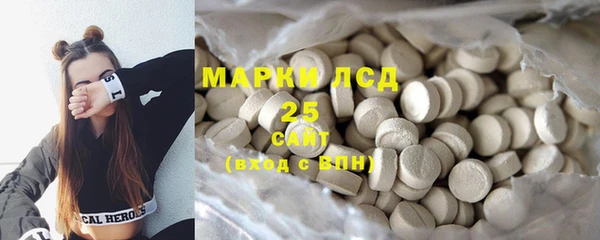крисы Аркадак