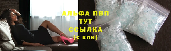 крисы Аркадак