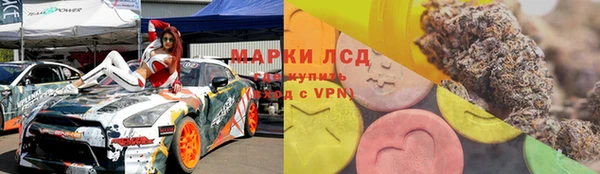 крисы Аркадак