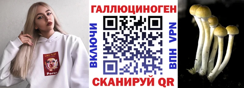 Псилоцибиновые грибы прущие грибы  Чердынь 